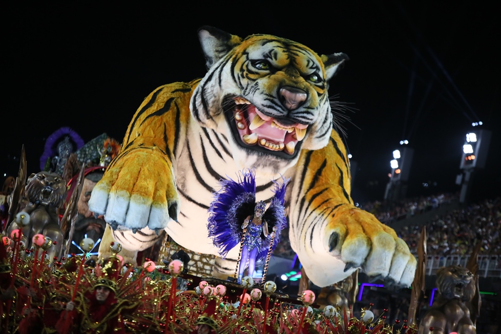 Com enredo autoral Porto da Pedra busca o retorno no Carnaval 2025